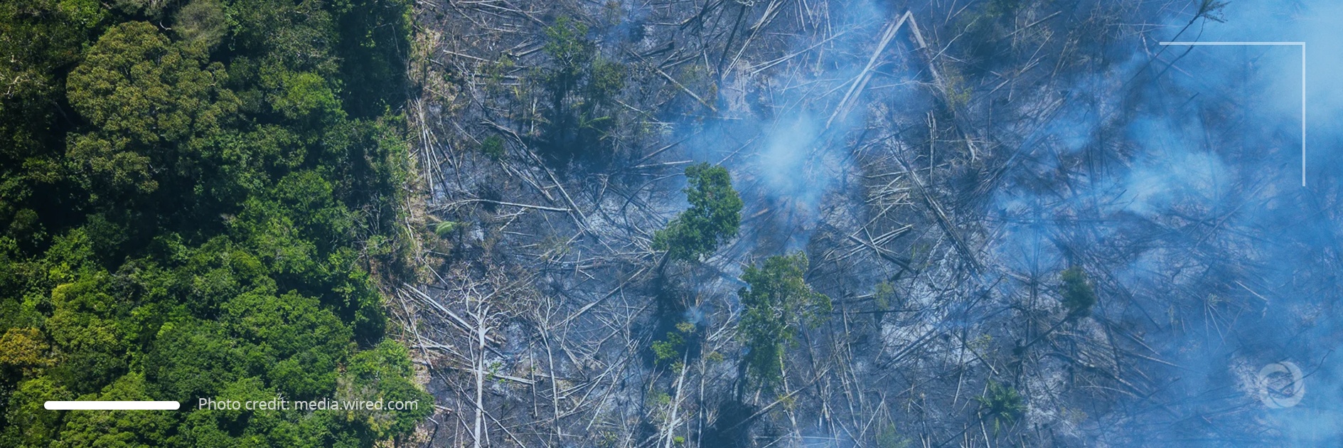Deforestation of Brazilian Amazon rainforest hits record high Deforestation of Brazilian Amazon rainforest hits record high