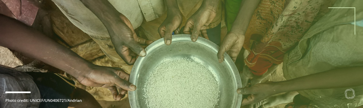 Food security statistics: A global perspective