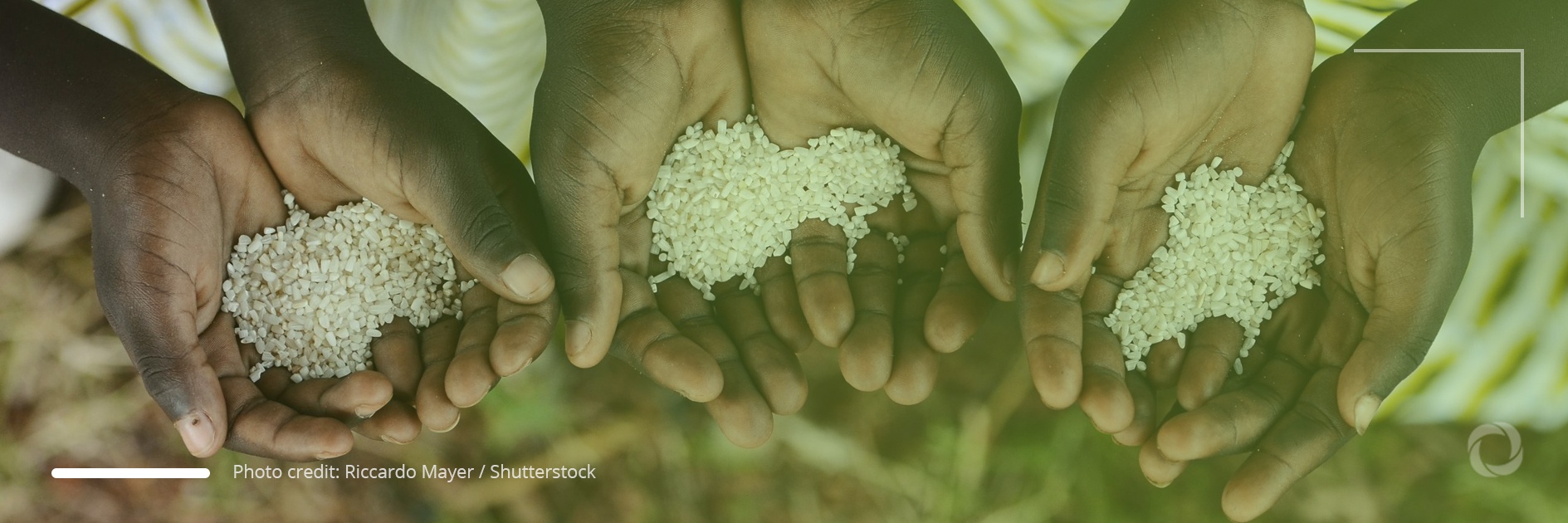 Russia-Ukraine war taking its toll on the poorest in Africa Russia-Ukraine war taking its toll on the poorest in Africa