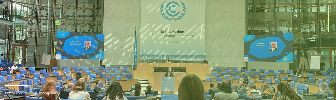 The role of the Bonn Climate Conference in bridging the climate finance gap