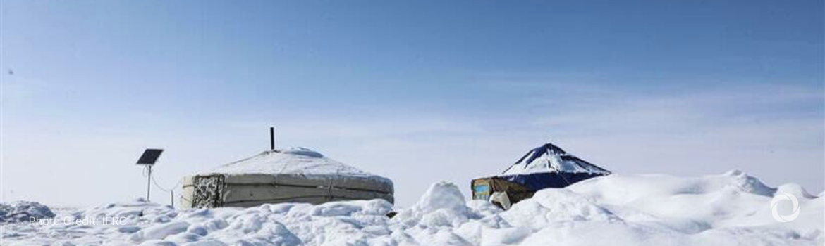 Red Cross wraps up Mongolia herder relief operation